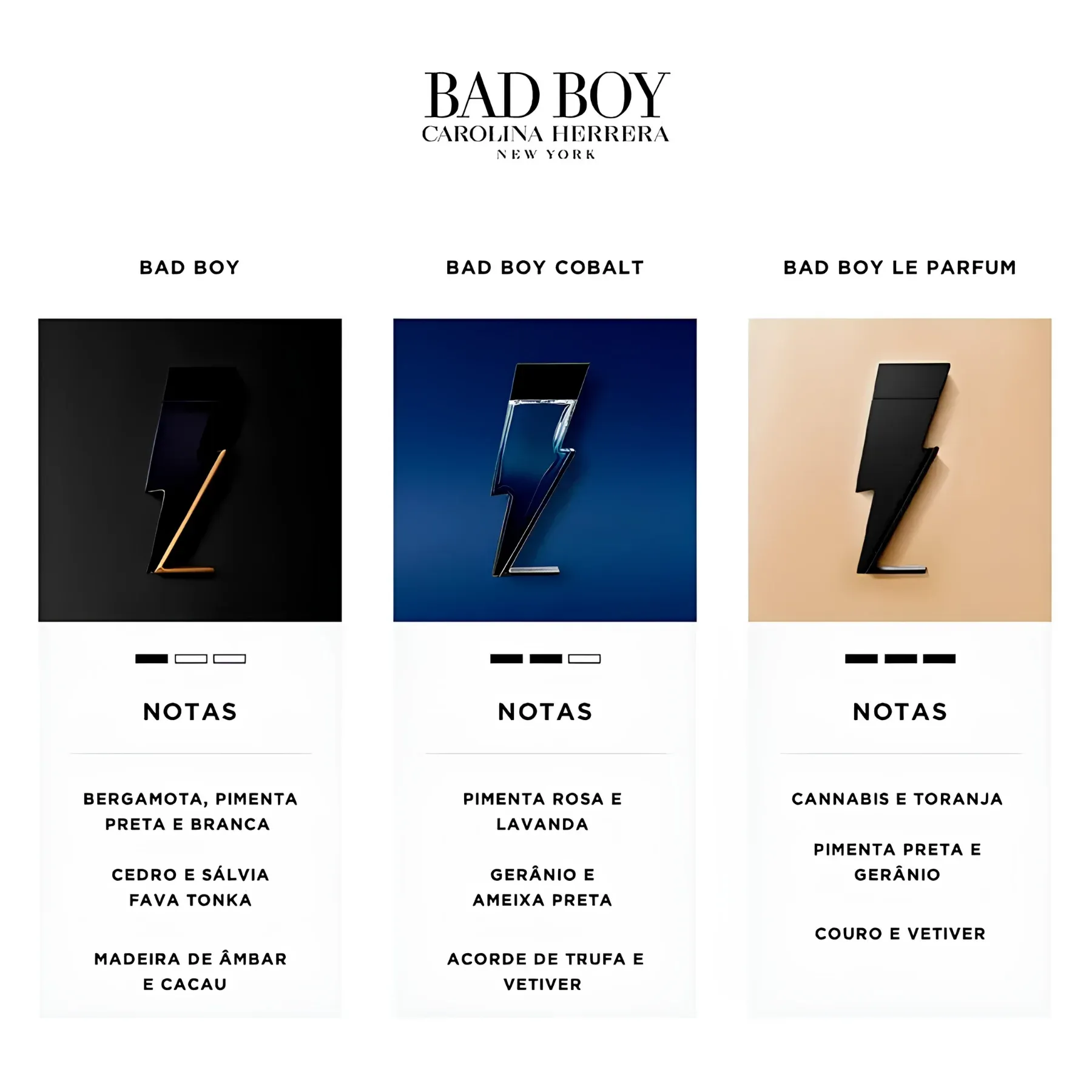 BAD BOY LE PARFUM 100 -3-